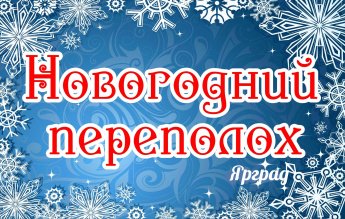 Новогодний переполох
