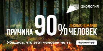 Сохраним лес от пожаров. 